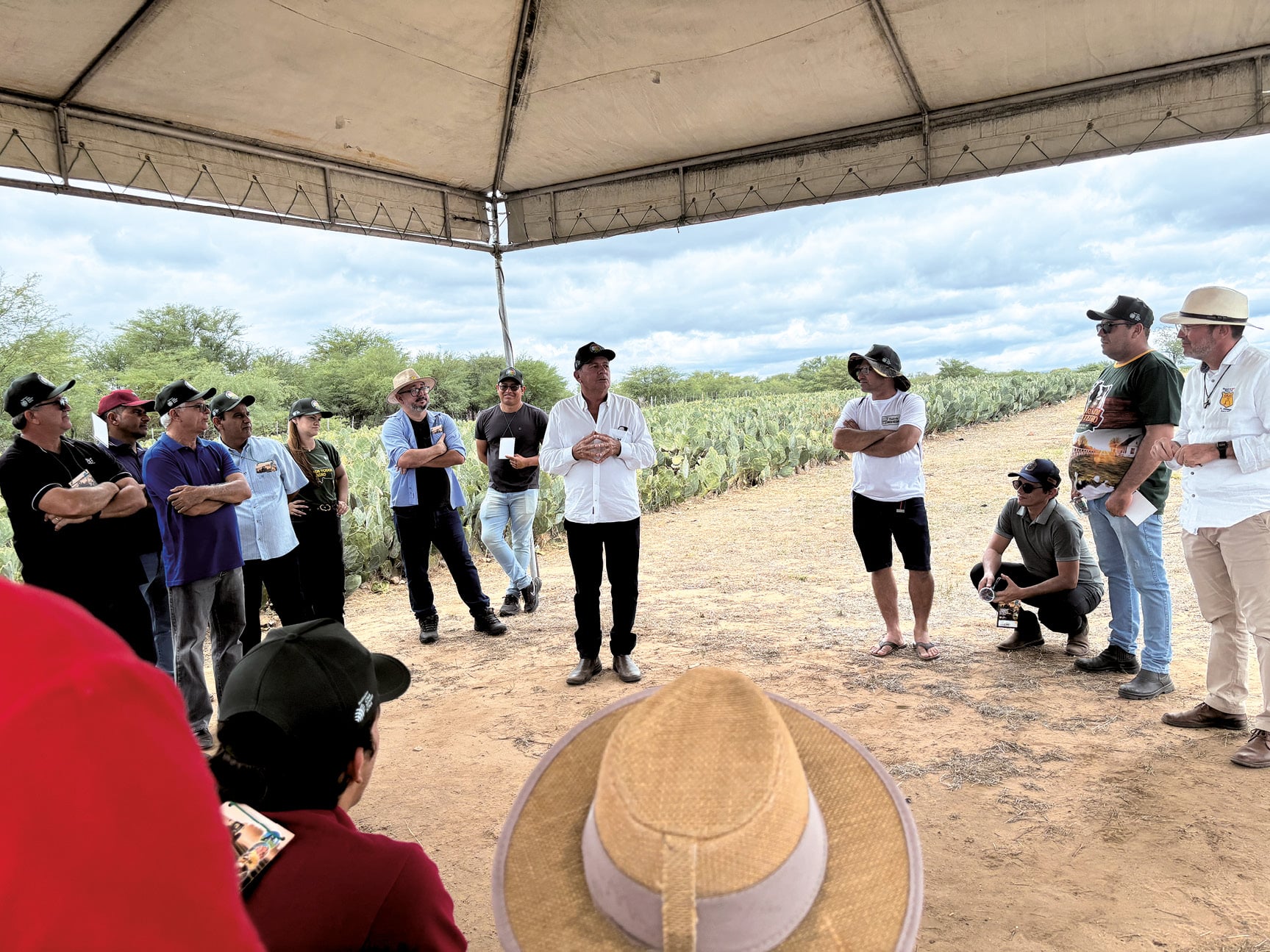 Rio Grande do Norte recebe etapa do Rally Forrageiras para o Semiárido