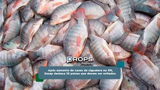 Sesap alerta para peixes que devem ser evitados após aumento de casos de ciguatera no RN