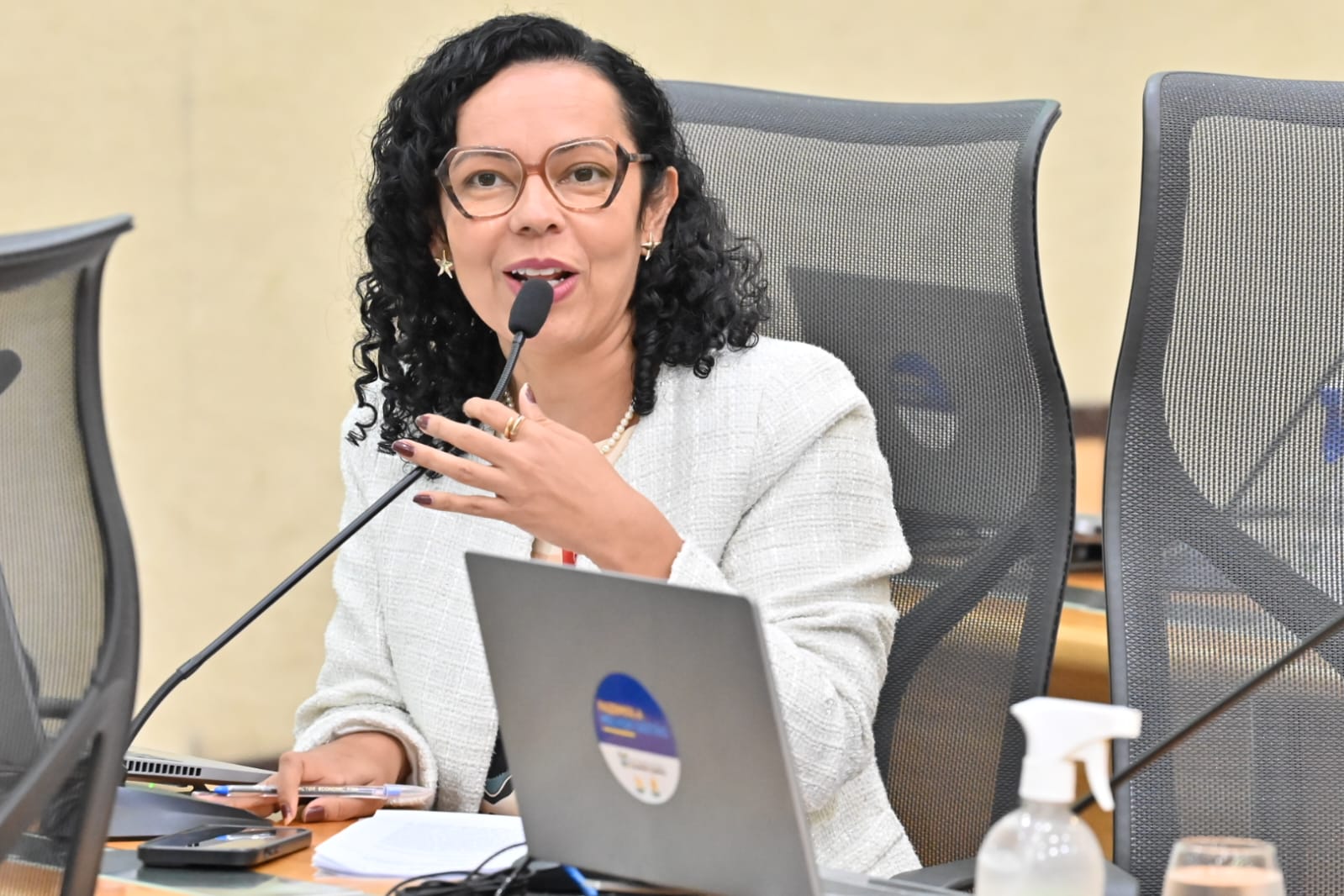 Divaneide Basílio registra Dia do Jornalista e destaca ações no plenário